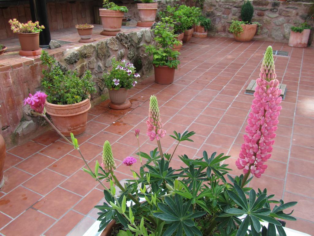 Ezcaray Turza Casa Rural Completa Hasta 8Pax Exterior foto